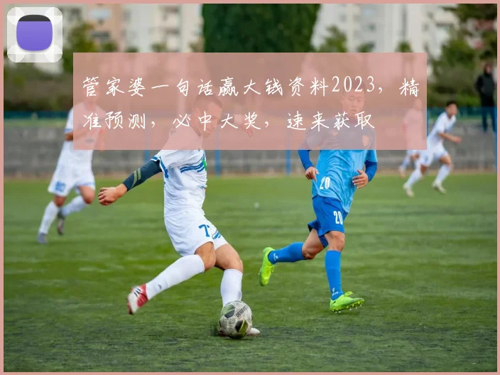 管家婆一句话赢大钱资料2023，精准预测，必中大奖，速来获取