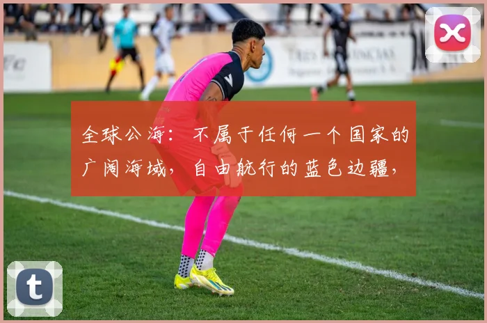 全球公海：不属于任何一个国家的广阔海域，自由航行的蓝色边疆，探索无限。